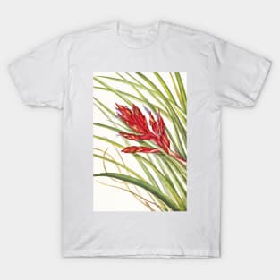 Giant airplant - Botanical Illustration T-Shirt